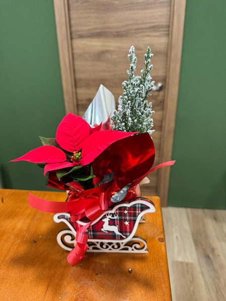 planta de Navidad con mini árbol